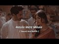 Maula Mere Maula Slowed Reverb Aankhe Teri Kitni Hasi