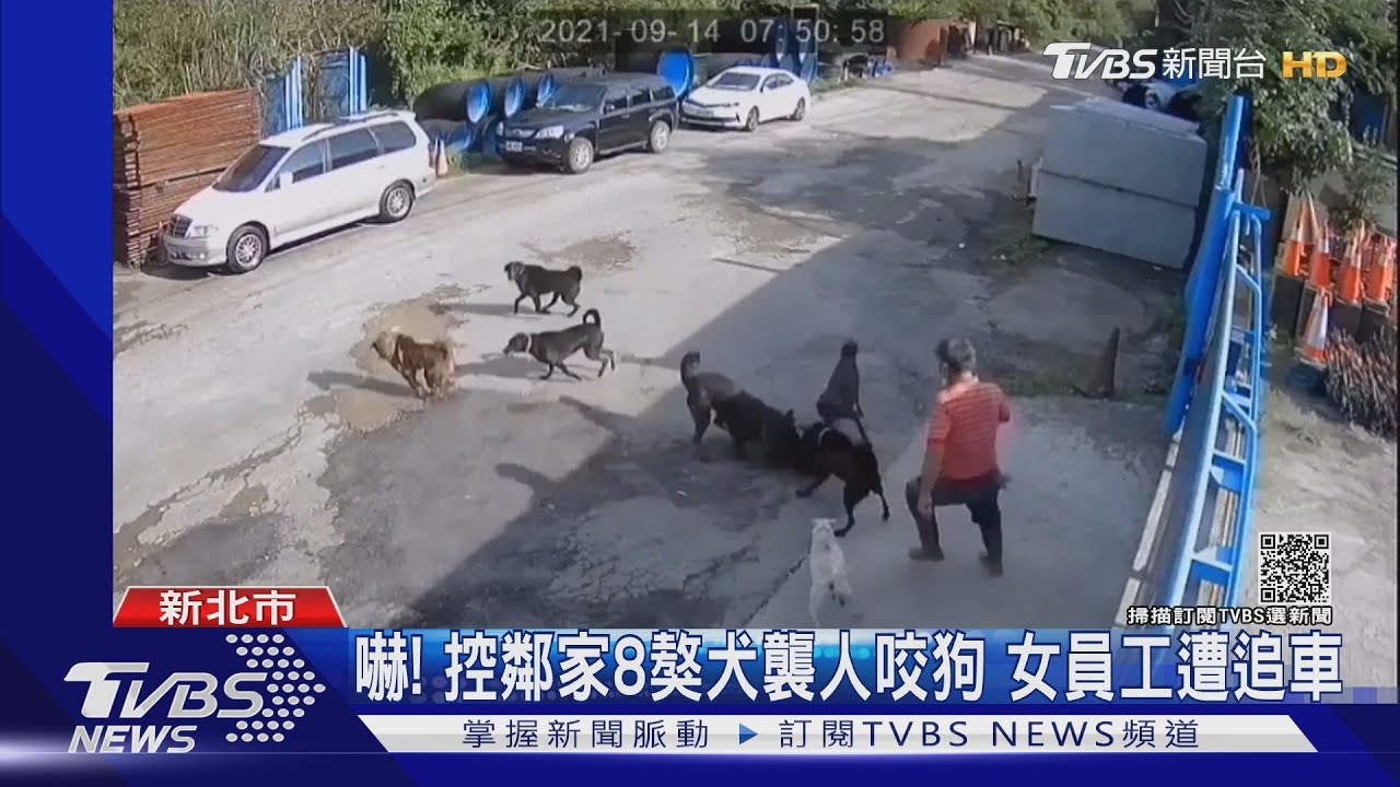 恐怖工廠養8獒犬! 遭控未繫繩鍊圍攻人車 動保處將開罰