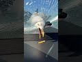 AI Bird Eating French Fry