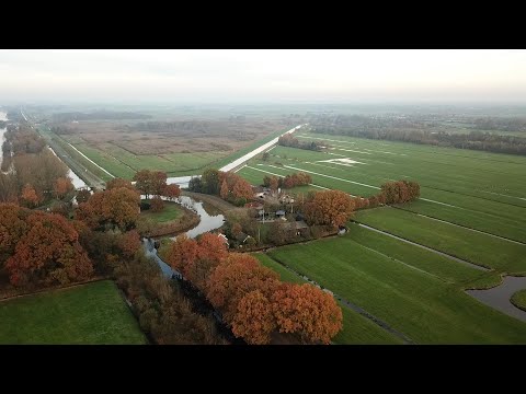 Fort bij Tienhoven, Nieuwe Hollandse Waterlinie