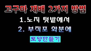 [텃밭농부 1,897]  고구마재배 2가지 방법중 부직포화분에 상토 넣고 밑거름 준비하는 방법. #고구마재배
