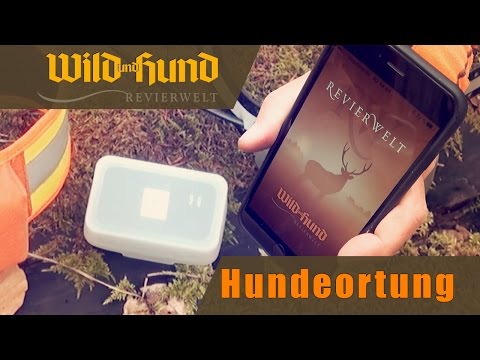 WILD UND HUND Revierwelt  - Hundeortung