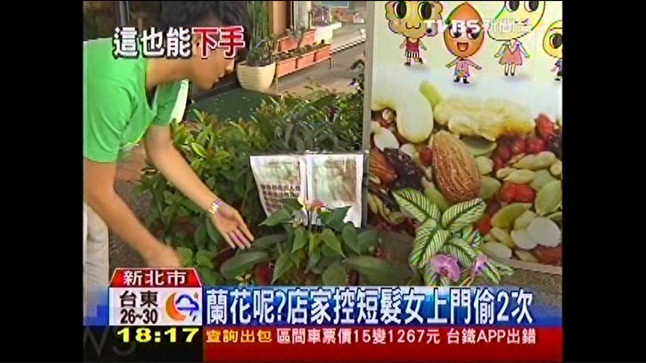 蘭花呢? 店家控短髮女上門偷2次
