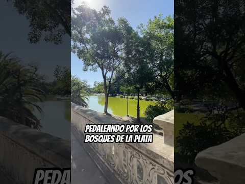 Tocó pasear por LOS BOSQUES DE LA PLATA #cicloturismo #aventura #sinmiedoalaaventura #cycling #bike