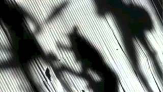 ❤️ Lenny Kravitz - Rock And Roll Is Dead ❤️