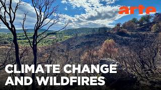 Wildfires: New Ways to Fight Them | ARTE.tv Documentary