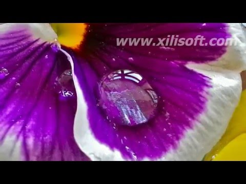 Andrew Black   Just for you