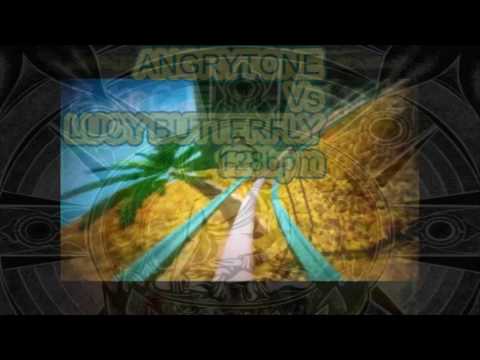 ANGRYTONE Vs LUCY BUTTERFLY Cmajor128bpm