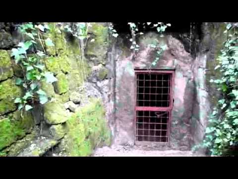 Virgil Aeneid Entry to the Underworld Book VI or 6