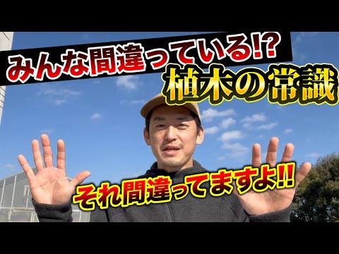 なぜ庭に灰を置くのですか？いつ、どこで、どのようにして?これらの 5 つの使い方はあなたを驚かせます!  庭園