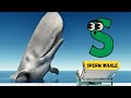 Ocean Giants ABC Song Shark Whale Dolphin Alphabet Song For Kids Abcd Kids Learning