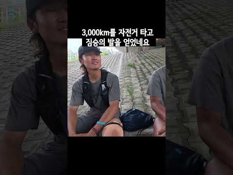 짐승의 발? #대한민국종주