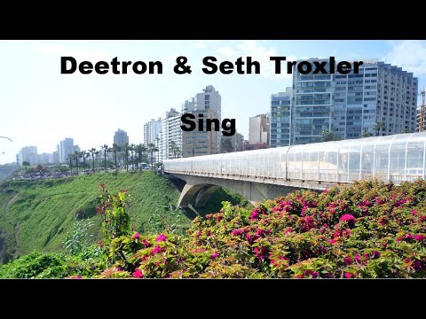 Deetron & Seth Troxler -sing