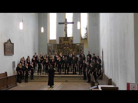 Indodana (Michael Barrett - Ralf Schmitt) - Jeugdkoor Waelrant (Borgerhout-Belgium)