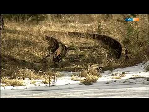 Geheimes Atomwaffenlager in Altenburg