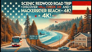 Scenic Redwood Road Trip: Discover Mill Creek Dr and MacKerricher Beach in 4K!