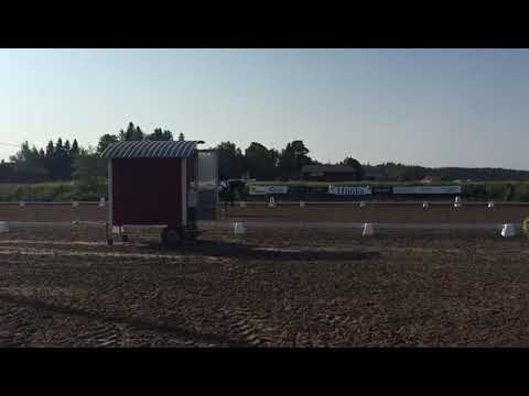 FEI helppo a world dressage challenge test b