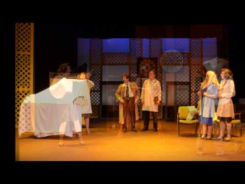 9 to 5 the musical (2013)