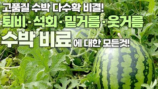 수박 비료에 대한 모든 것! 퇴비, 석회, 사용시기, 사용법 등 이 영상 하나로 해결하세요