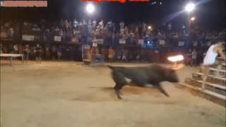 Ole, ole, ole!  Viva el matador!