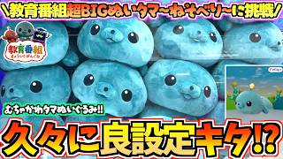 【教育番組クレゲ】まさかの良設定！？教育番組最新プライズ超BIGぬいぐるみタマ〜ねそべり〜に挑戦！【教育番組タマ】【教育番組グッズ】【クレーンゲーム】【UFOキャッチャー】【最新プライズ】