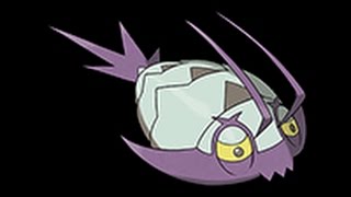 コソクムシ ポケットモンスター ビリリダマ ヒメンカ ビブラーバ