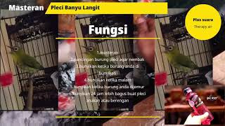 Download lagu Pancingan PLECI Nembak Panjang BANYU LANGIT/Masteran Pleci BANYU LANGIT(OM ACUZ BAJA JATIM DEXTRO87) mp3