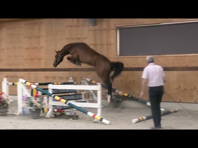 Jumping