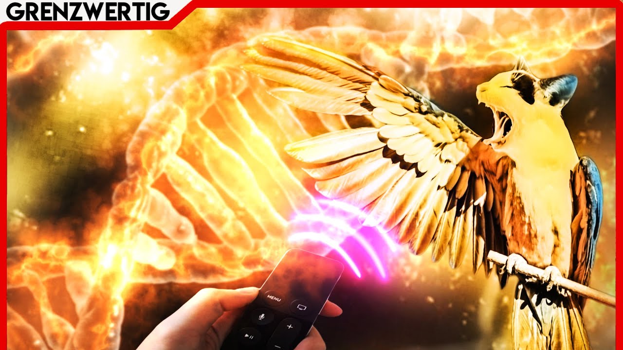 Unglaublich 😱 Wie weit in der Zukunft befinden wir uns heute? 👉 Oder ist die Zukunft schon jetzt?