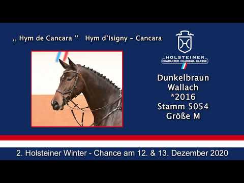 2. Holsteiner Winter-Chance | Nr. 34 Hym de Cancara