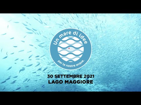 Anteprima video