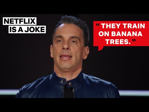 Sebastian Maniscalco Doesn't Wanna Fight an MMA Guy | Netflix Is A Joke