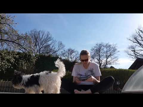 Březová u Sokolova