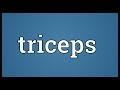 Triceps Meaning