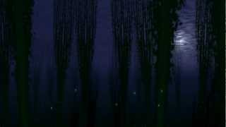 07. Box Of Rain - Grateful Dead - 9/19/87 Madison Square Garden, New York, NY - U31DoD 2012 Edition