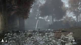 ネズミ 001