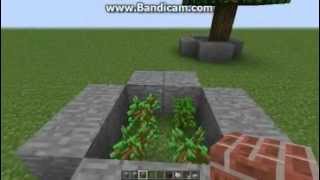 How to get unlimited jungle saplings (PATCHED)