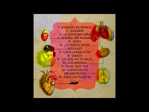 Ataques De Pánico - Daiana Leonelli