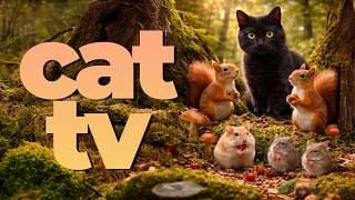 Forest Cat TV | Wildlife for Cats with Calming Music 🎶 Relaxing Cat Entertainment