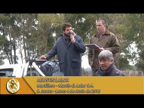 04-06-18 Nota Agustin Lalor - Martin G. Lalor S.A. - B. Juarez.