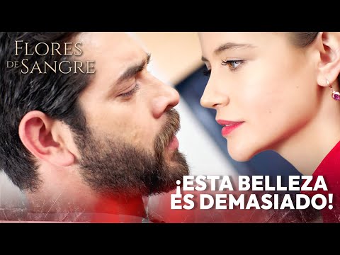 ¡La belleza de Dilan vuelve loco a Baran! | Kan Cicekleri Subtítulos en Español