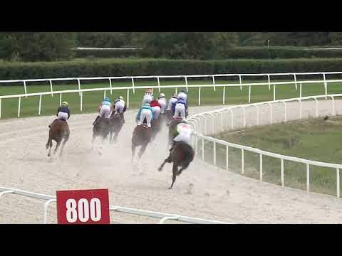 2020.07.26. 06. futam - TATAI DÍJ (IV.kat.) (szintetikus pálya)