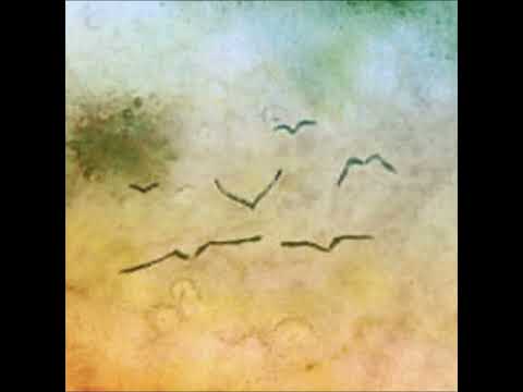 Zunzagi — Empathy (Veell's Remix, 2010)