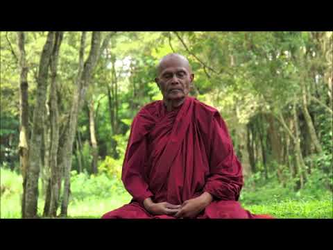 Four Foundations Of Mindfullness | Part 4 | Bhante Henepola Gunaratana