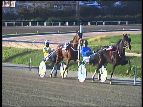 Trotto 29/11/2015 - 2° corsa