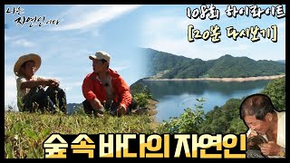 [무술영화] 대남 (1988) - 황인식의 전설적인 발차기 하이라이트