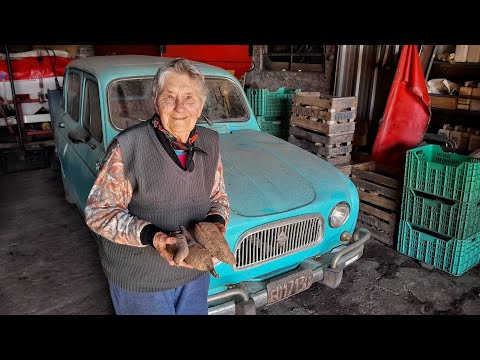 "He opened the warehouse full of amazing relics" | He has been working since he was 7 years old a...