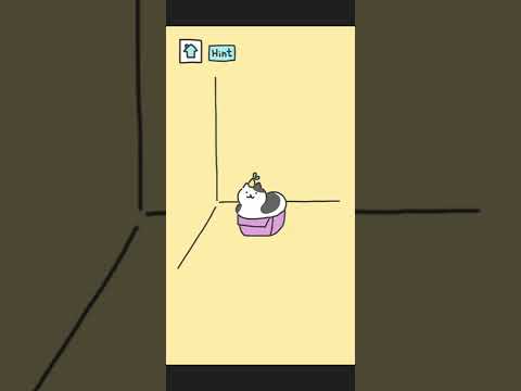 Cat Test