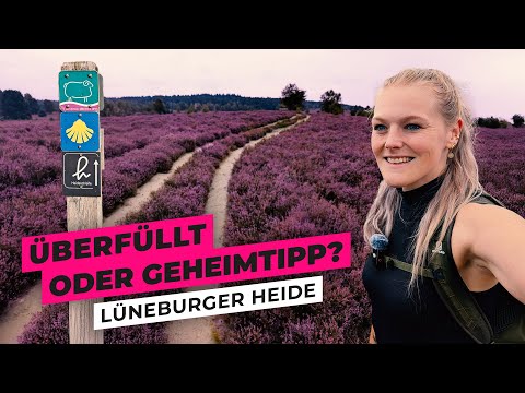 Lüneburg Heath – is the hype worth it? | Solo Vanlife
