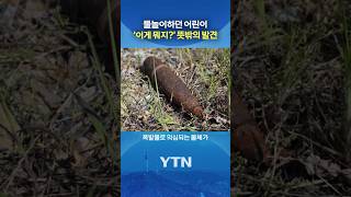 물놀이하다가 고폭탄 발견 #shorts / YTN